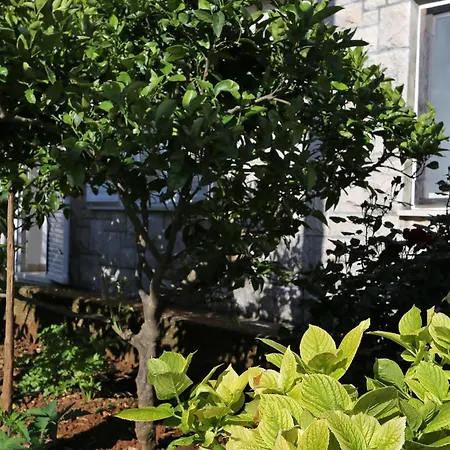By The Sea Lumbarda, Korcula - 10049 Apartment