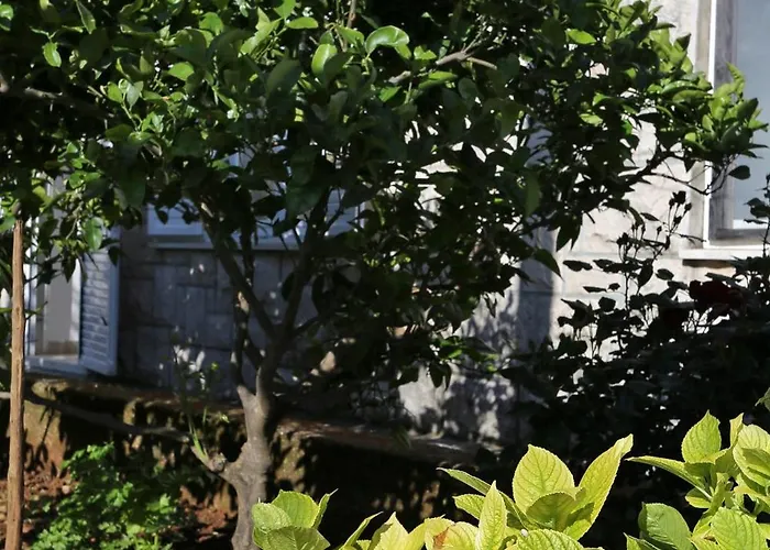 By The Sea Lumbarda, Korcula - 10049 Appartamento